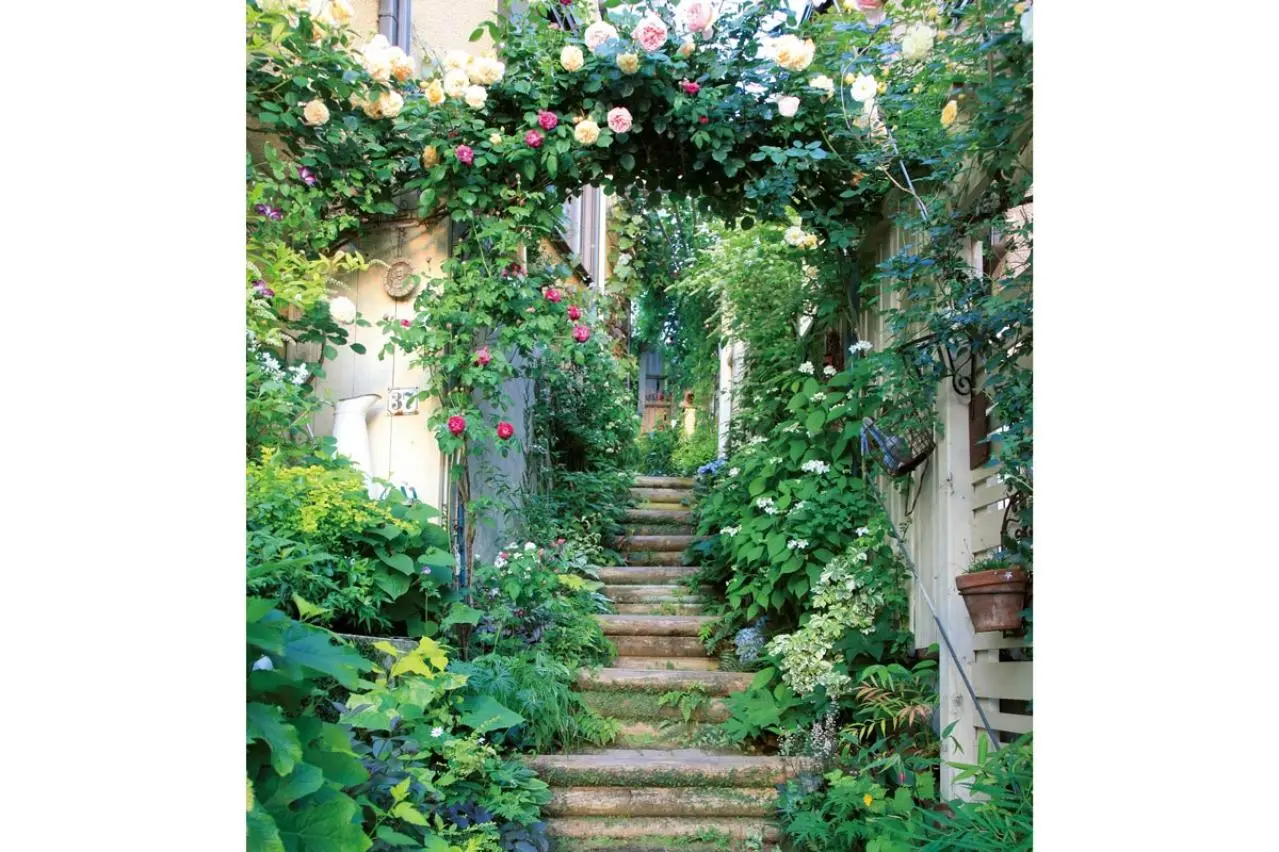 狭さをカバーするガーデニングアイデア「色使い」と「空間利用」の実践