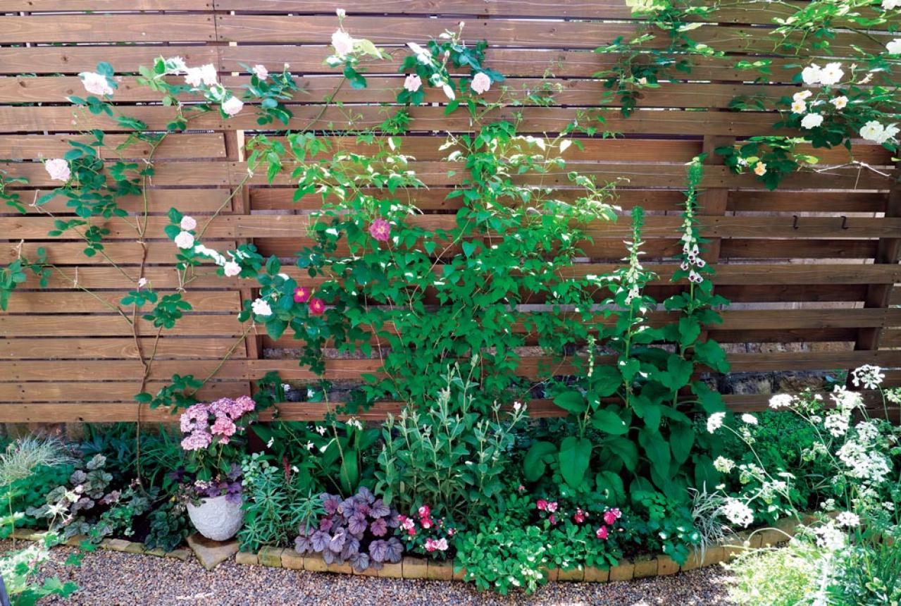 限られた場所を花と緑で彩る！フェンスを活用した「すきまガーデニング」実例6選（画像2）