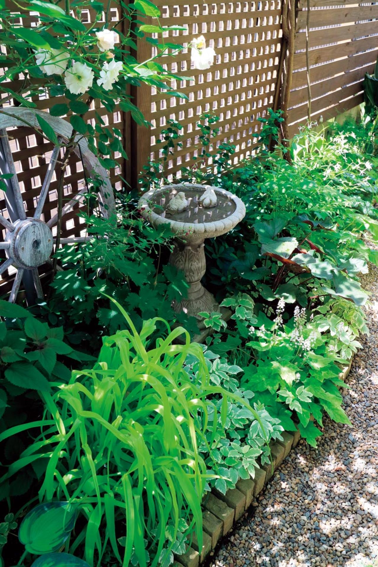 限られた場所を花と緑で彩る！フェンスを活用した「すきまガーデニング」実例6選（画像7）