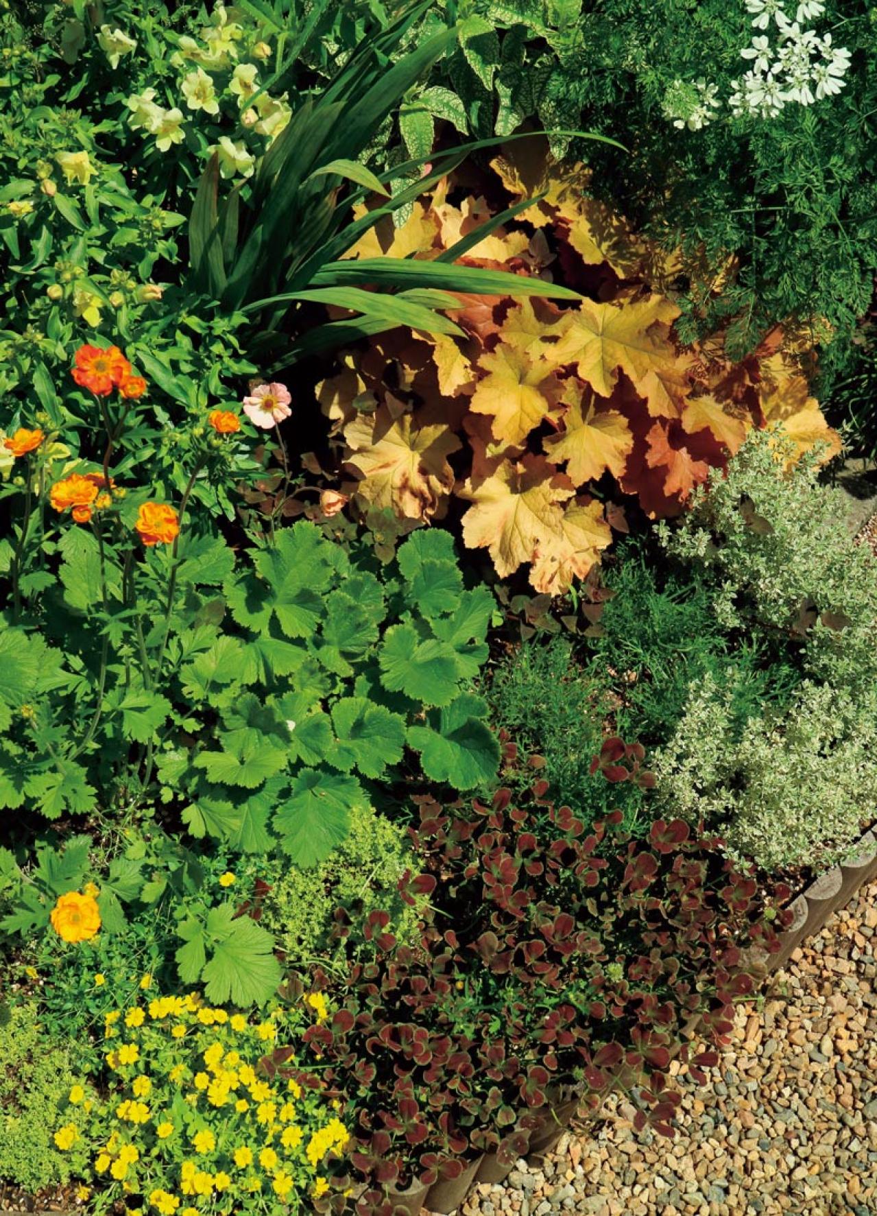 初心者OK！空いている極小すきまもおしゃれなガーデンに変える実例5選（画像6）