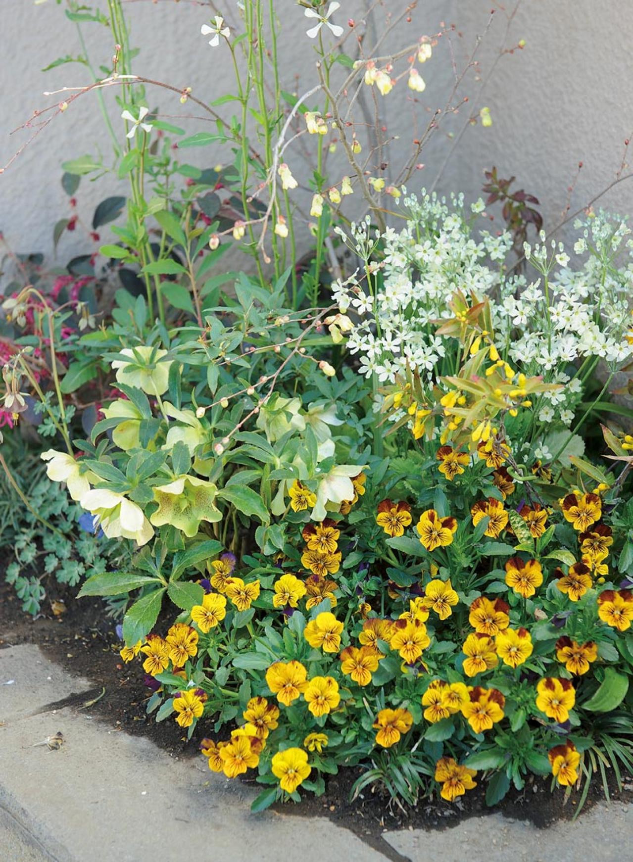 初心者OK！空いている極小すきまもおしゃれなガーデンに変える実例5選（画像3）