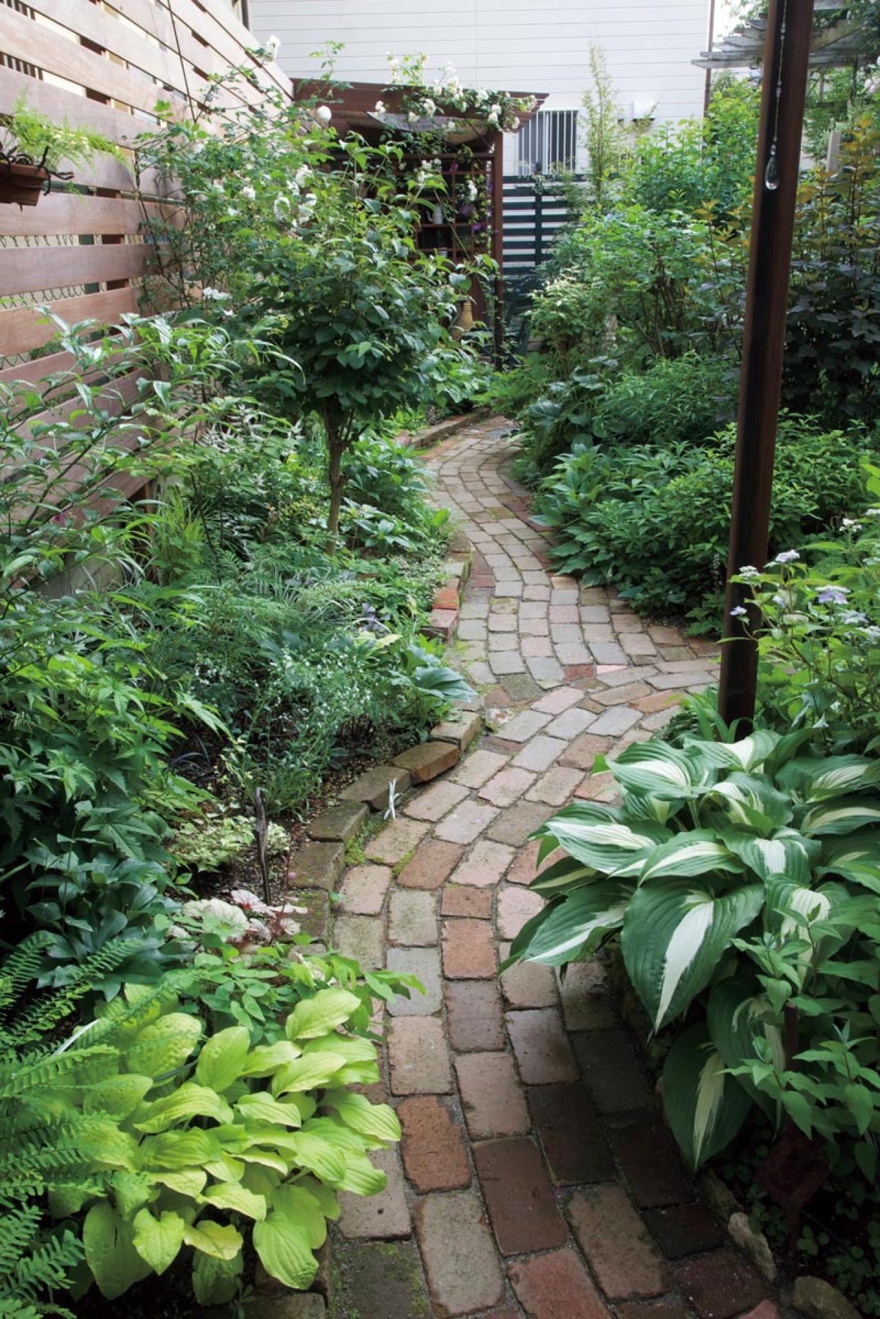 玄関周りの狭い空間を美しく！初心者向け「すきまガーデニング」実用アイデア5選（画像5）