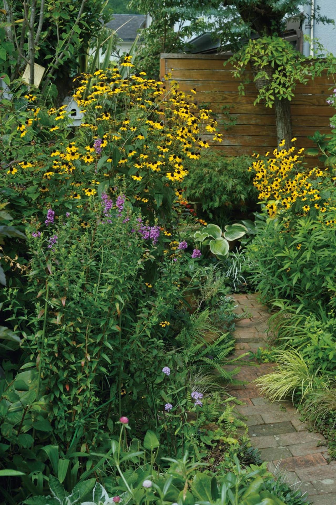 玄関周りの狭い空間を美しく！初心者向け「すきまガーデニング」実用アイデア5選（画像3）