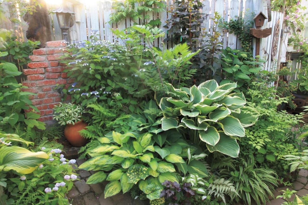 「極小スペースなのにステキ！」目の錯覚テク&便利アイテムで広がるガーデニング計画6選（画像2）