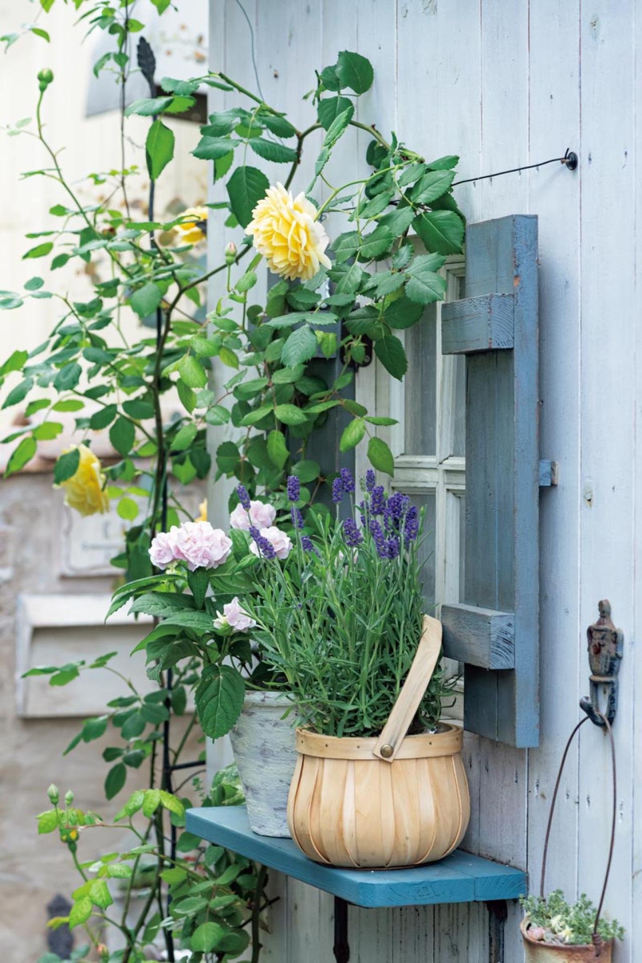 「極小スペースなのにステキ！」目の錯覚テク&便利アイテムで広がるガーデニング計画6選（画像7）