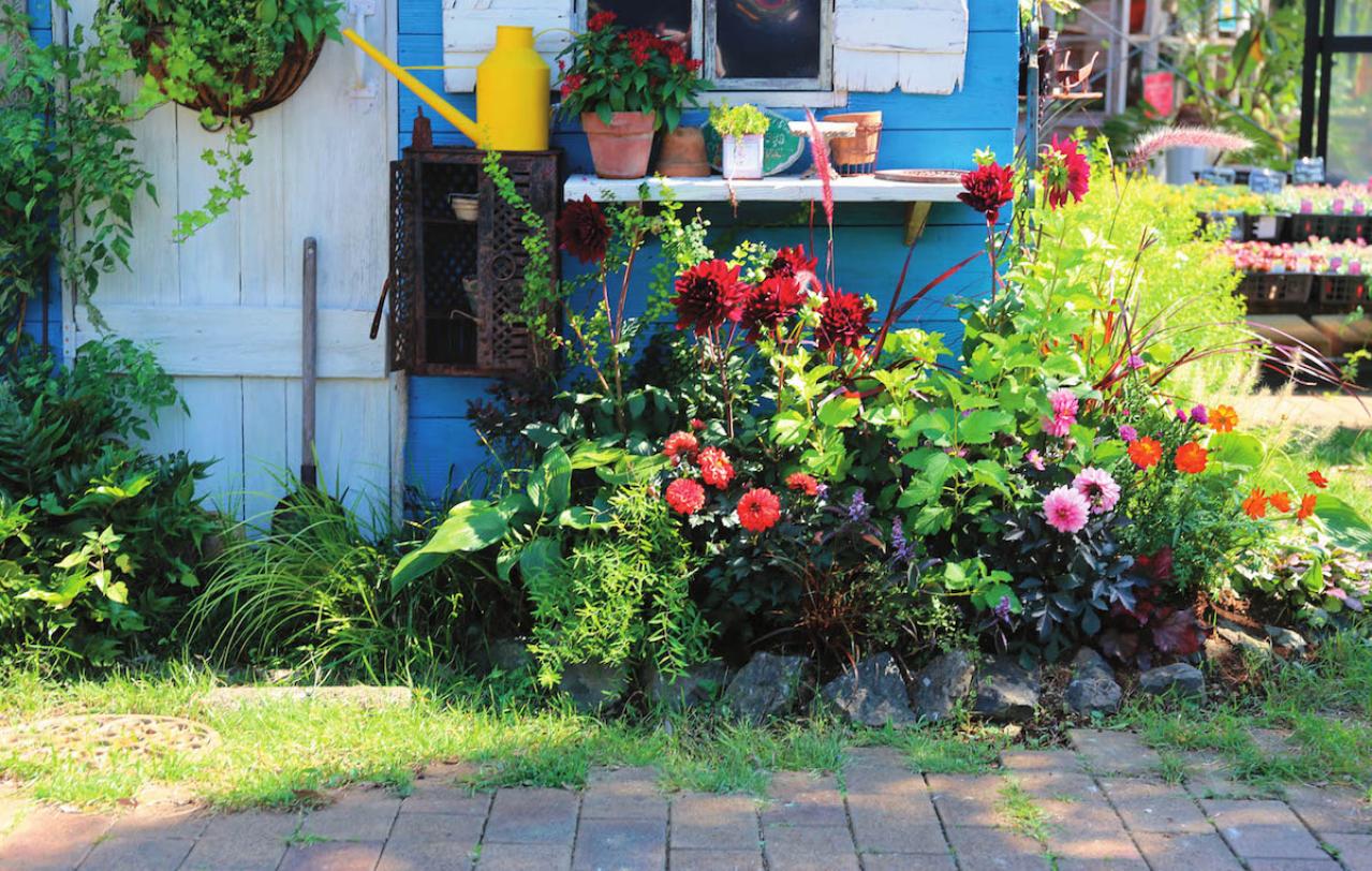 全国からファン殺到！ 人気園芸店【フローラ黒田園芸】直伝！ 春まで長く楽しめる花壇の作り方（画像3）