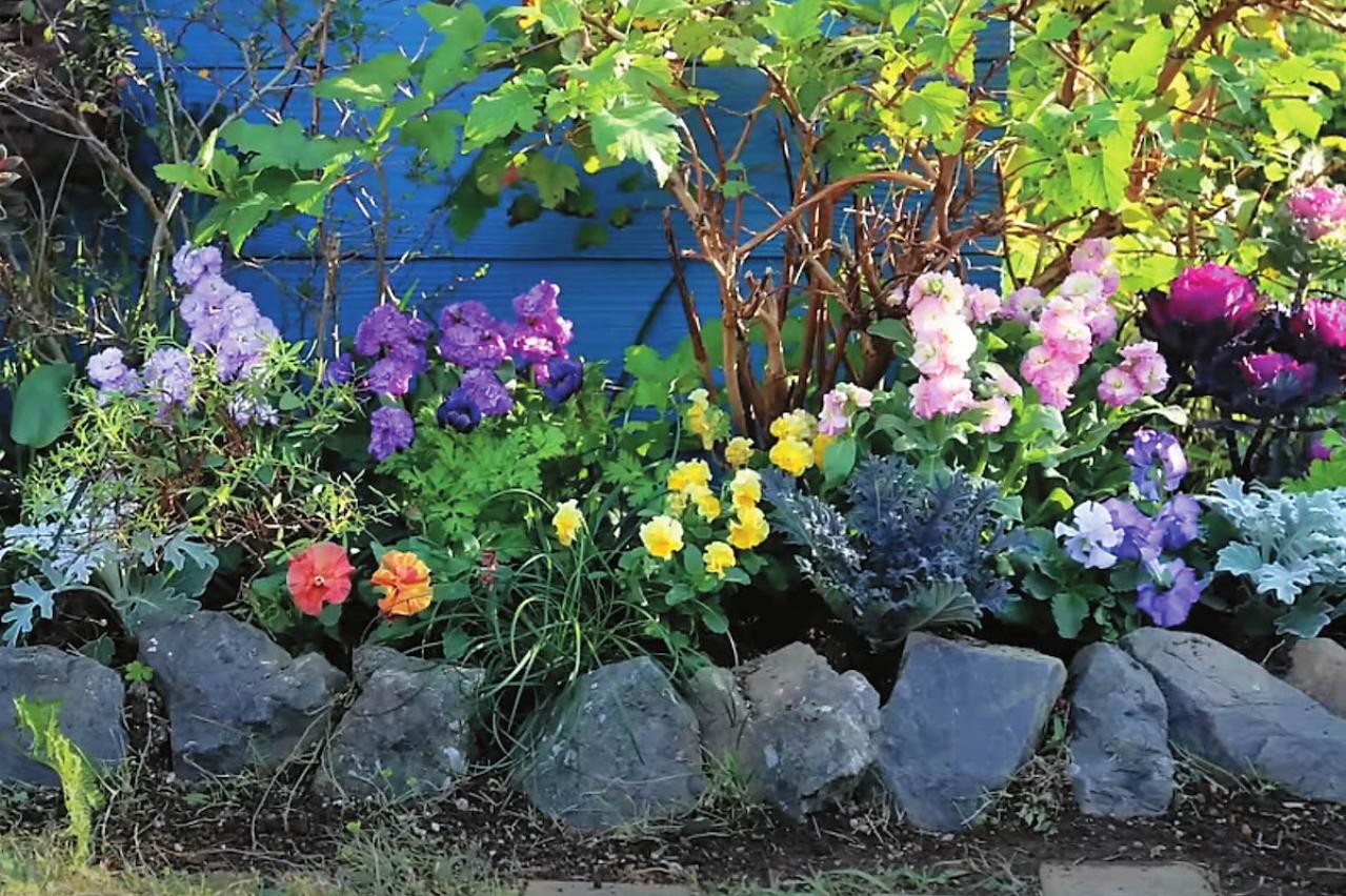 全国からファン殺到！ 人気園芸店【フローラ黒田園芸】直伝！ 春まで長く楽しめる花壇の作り方