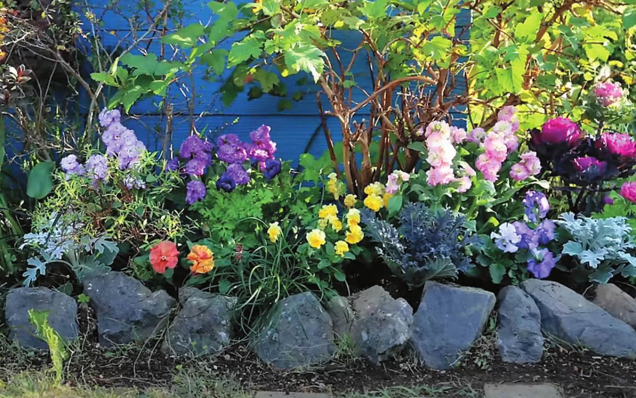 全国からファン殺到！ 人気園芸店【フローラ黒田園芸】直伝！ 春まで長く楽しめる花壇の作り方（画像2）