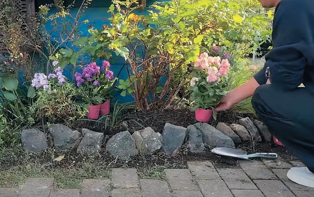 全国からファン殺到！ 人気園芸店【フローラ黒田園芸】直伝！ 春まで長く楽しめる花壇の作り方（画像4）