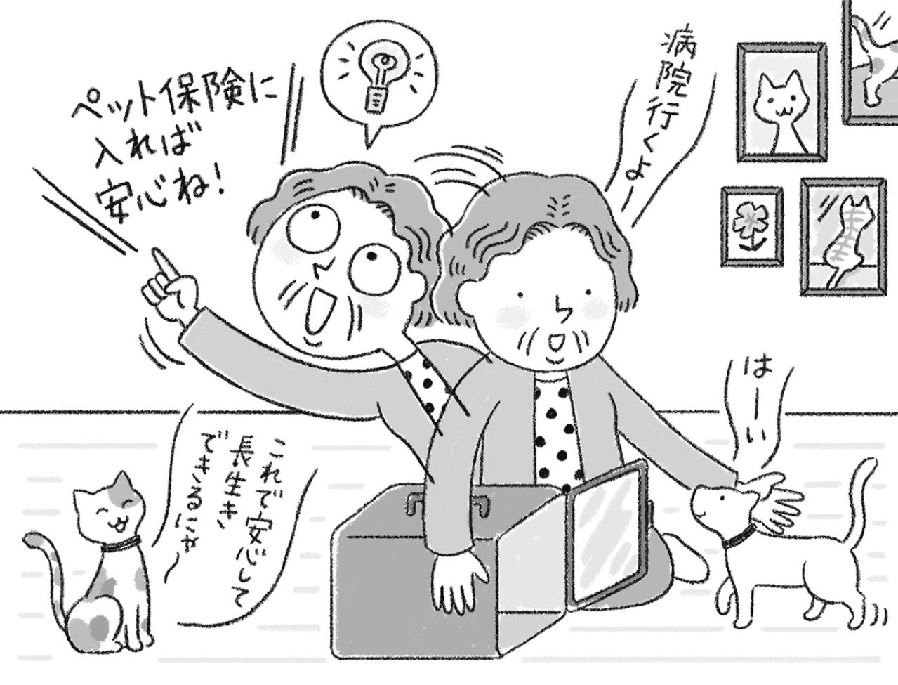 【78歳、ひとり暮らし】老後資金は500万円、毎月の収入10万円。この先暮らしていける？ FPがアドバイス（画像5）