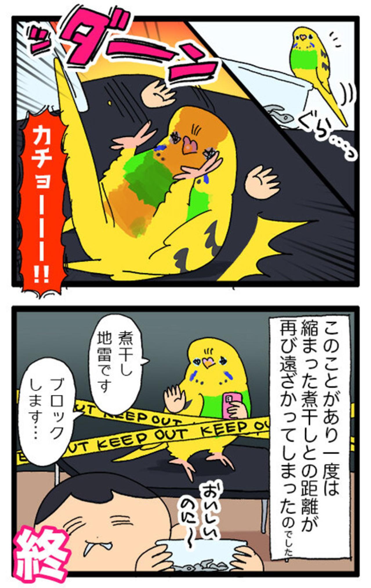 煮干し絶交事件も！？セキセイインコと私の午後【鳥マンガ #151】（画像5）