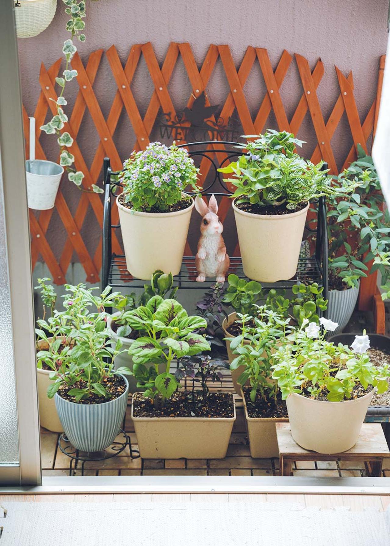 1Kの部屋で60代からの再出発！刺繍と猫とガーデニングで「小さな幸せが見つかる今が最高」（画像6）