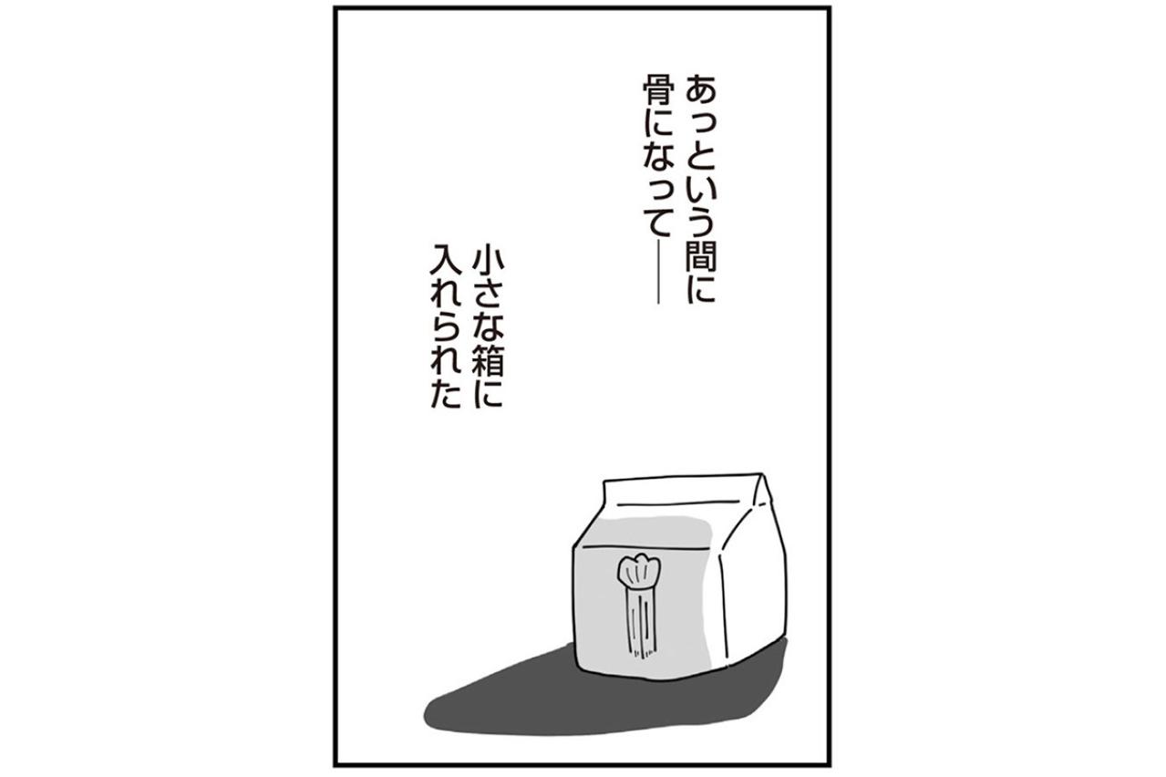 「母の最期に間に合わなかった」天涯孤独になったとき隣にいたのが今の夫だった【長男の嫁ってなんなの？ #7】