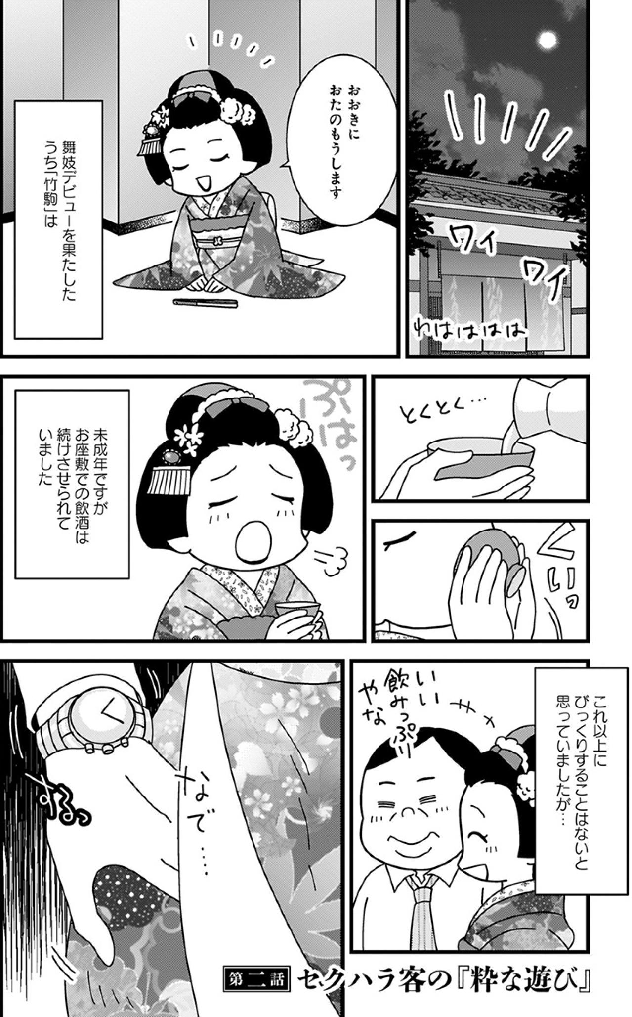 舞妓の謎掟「下ネタを言われたら…」当事者が語るキツかった闇【京都花街はこの世の地獄 #5】（画像2）