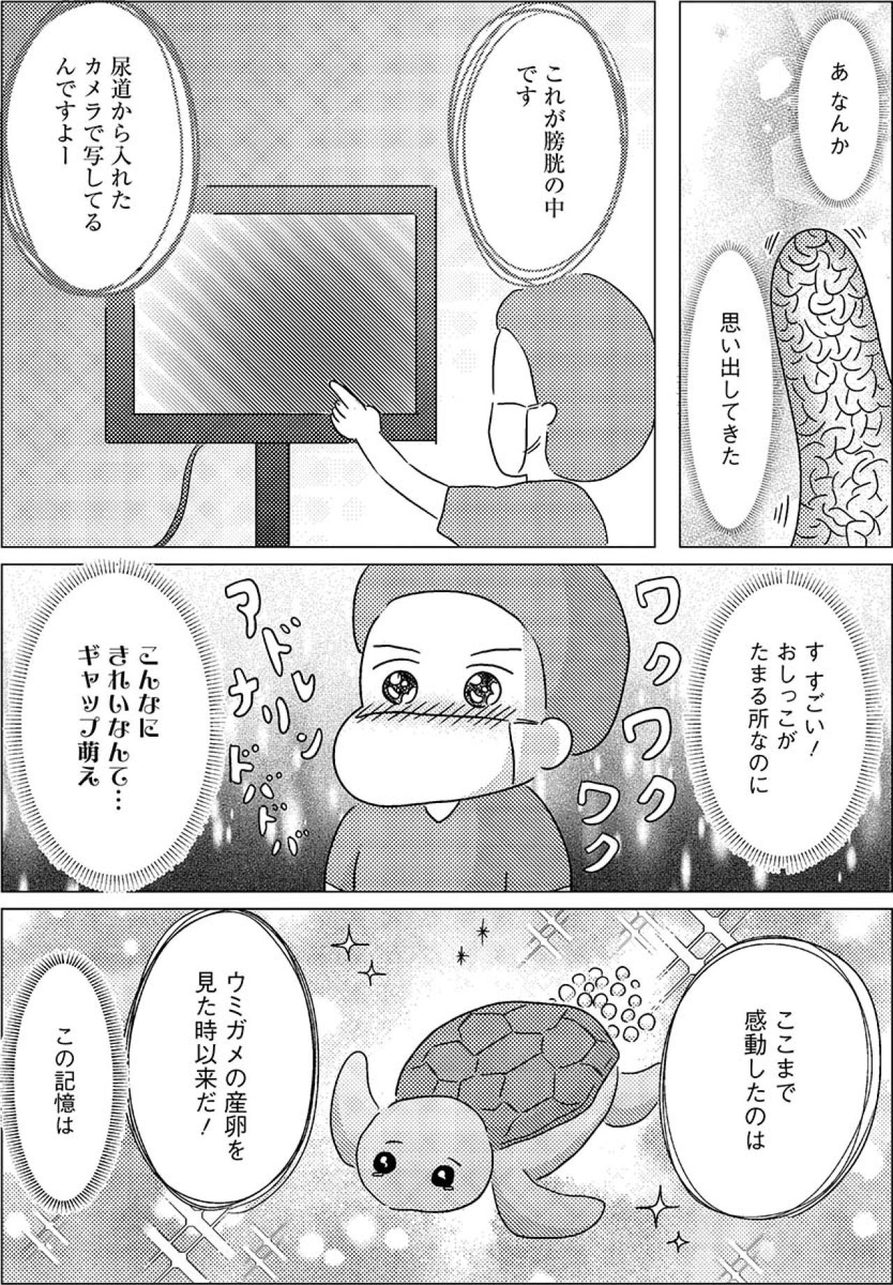 半日しか行ってないのに!? ウミガメの産卵級の感動で決めた配属先【手術室の中で働いています。 #3】（画像2）