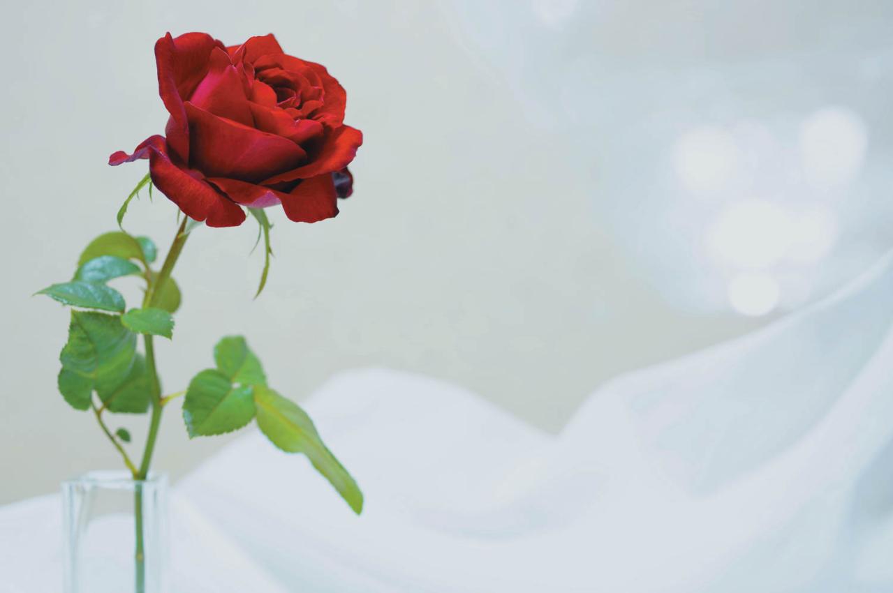 【卒婚】考えている人必見！〈実体験〉60代で夫婦関係を見つめ直した結果「離婚したけど気分は卒婚」（画像2）