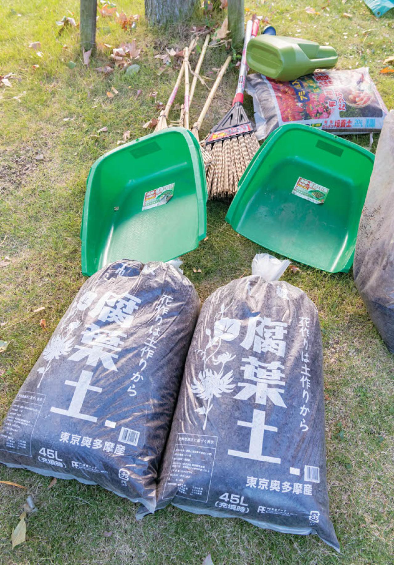 無農薬＆エコ！【街のボランティア花壇】晩秋の植えかえ作業を徹底レポート（画像5）