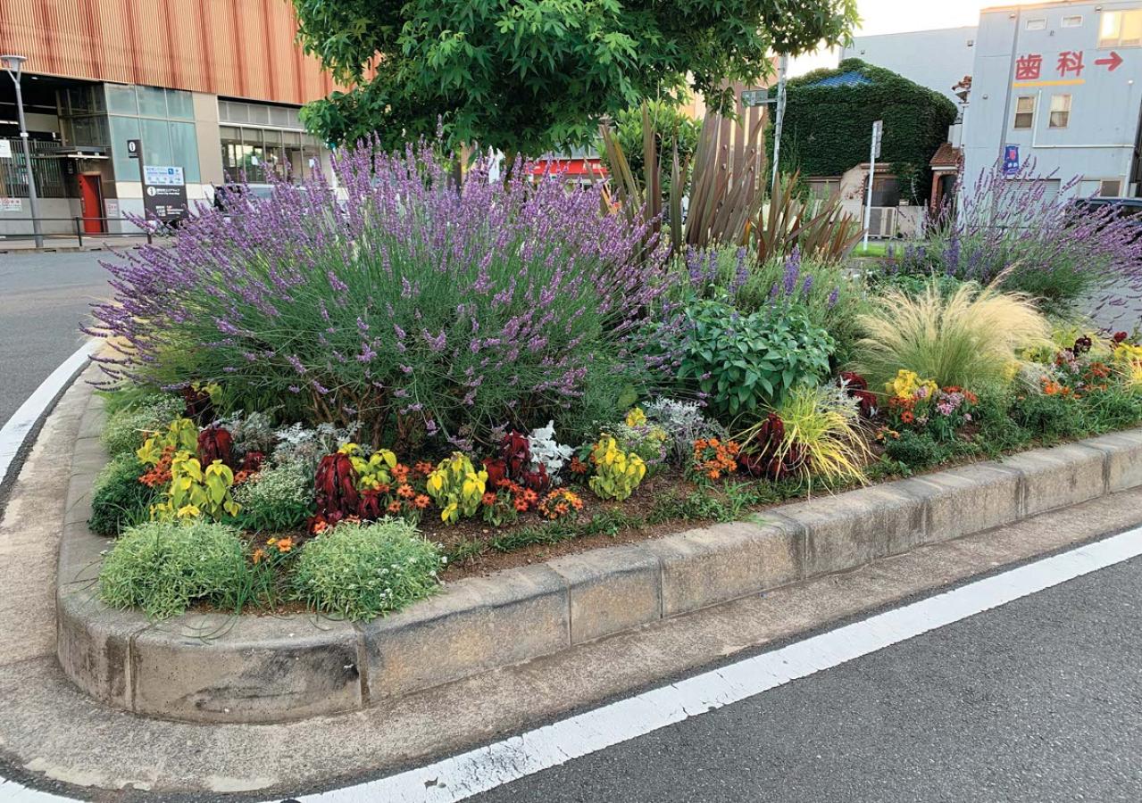 どの季節も花を楽しめる【街のボランティア花壇】剪定枝や抜いた花の再利用アイデアも公開！（画像13）