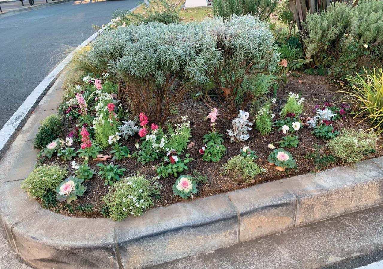 どの季節も花を楽しめる【街のボランティア花壇】剪定枝や抜いた花の再利用アイデアも公開！（画像9）