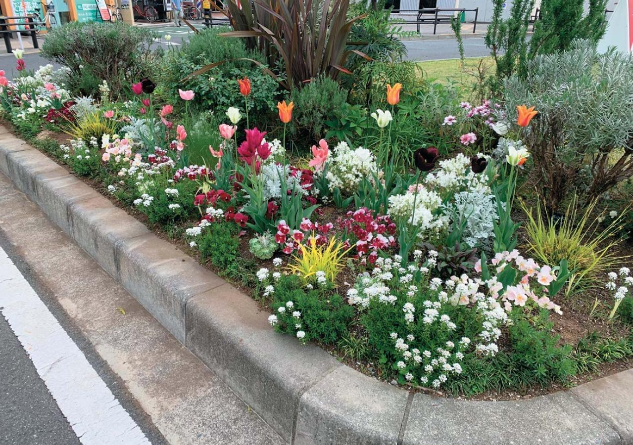 どの季節も花を楽しめる【街のボランティア花壇】剪定枝や抜いた花の再利用アイデアも公開！（画像12）