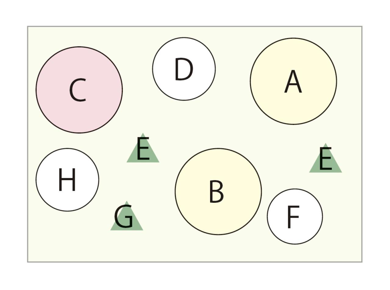やさしい色合いのビオラ、ガーデンシクラメンで作る【晩秋の寄せ植え】（画像4）