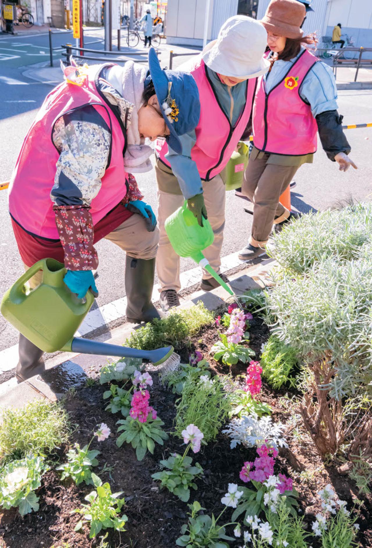 無農薬＆エコ！【街のボランティア花壇】晩秋の植えかえ作業を徹底レポート（画像16）