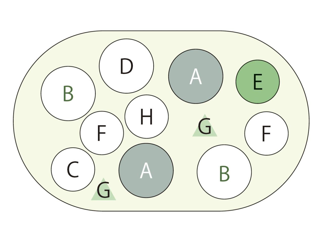 カラーリーフがおしゃれな【晩秋の寄せ植え】森をイメージした落ち着きのある一鉢（画像6）