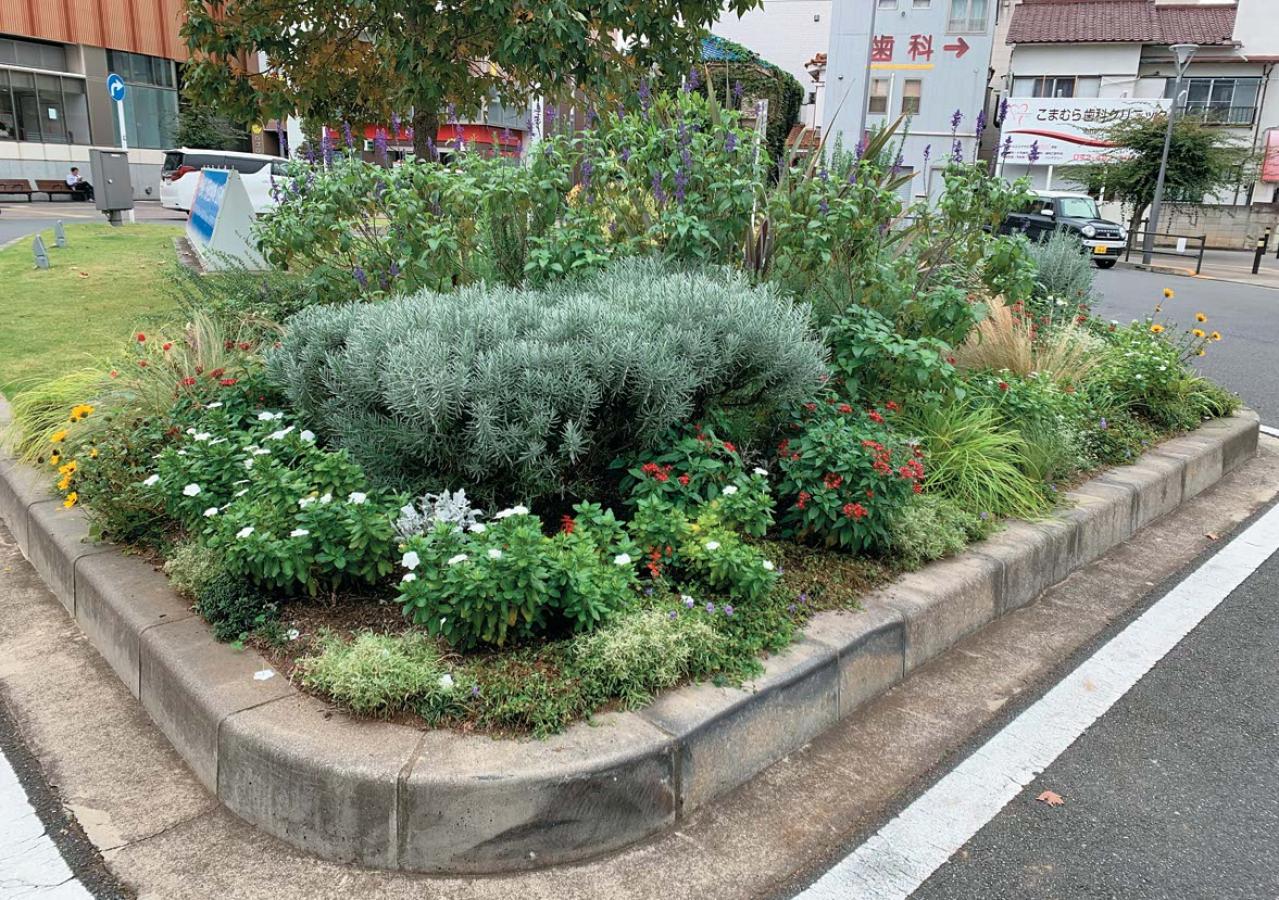 どの季節も花を楽しめる【街のボランティア花壇】剪定枝や抜いた花の再利用アイデアも公開！（画像8）