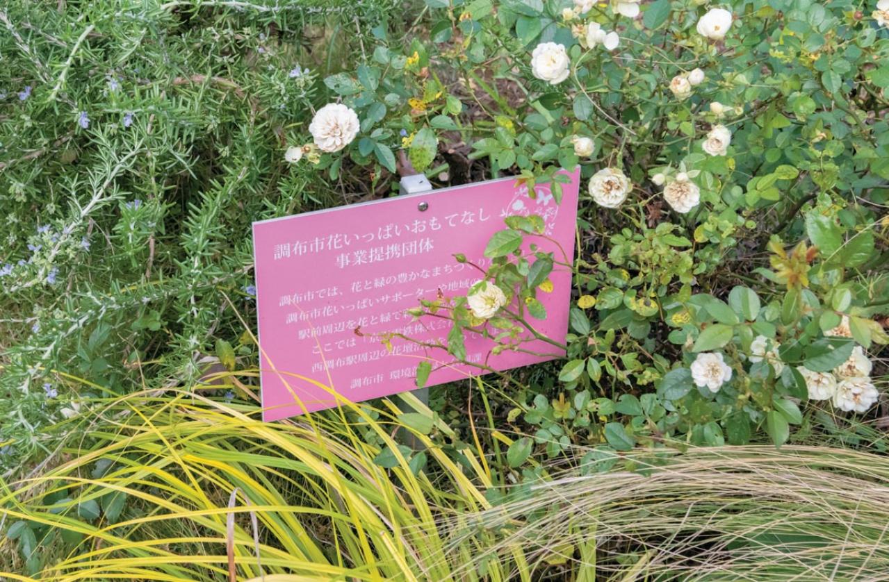 地域を彩る【ボランティア花壇】とは？調布市「ちょうふ花未来くらぶ」の取り組みを紹介（画像5）