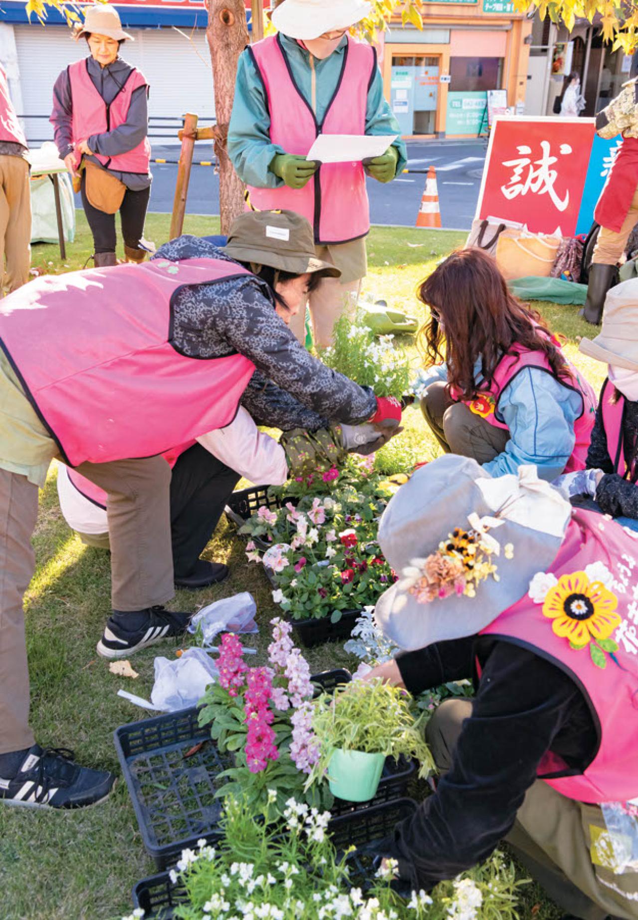 無農薬＆エコ！【街のボランティア花壇】晩秋の植えかえ作業を徹底レポート（画像4）
