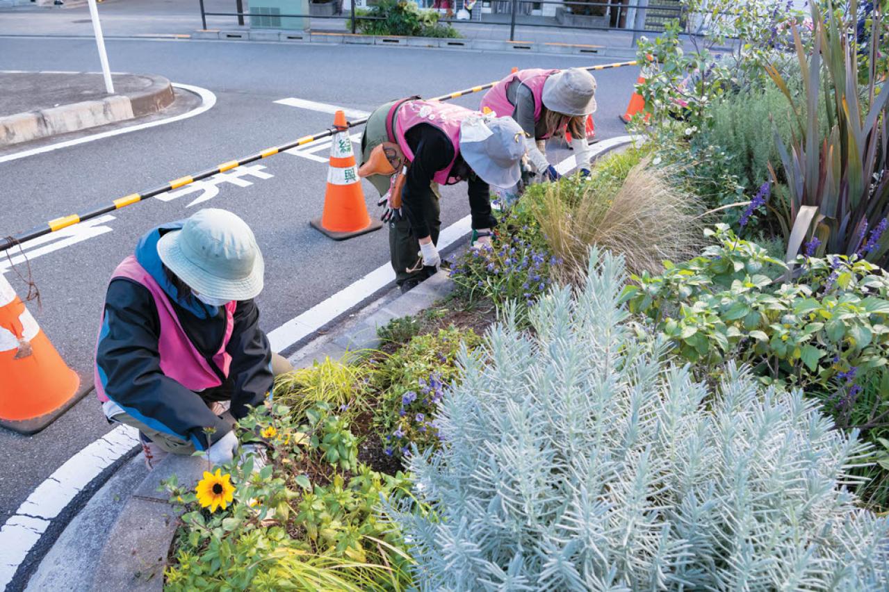 無農薬＆エコ！【街のボランティア花壇】晩秋の植えかえ作業を徹底レポート（画像6）