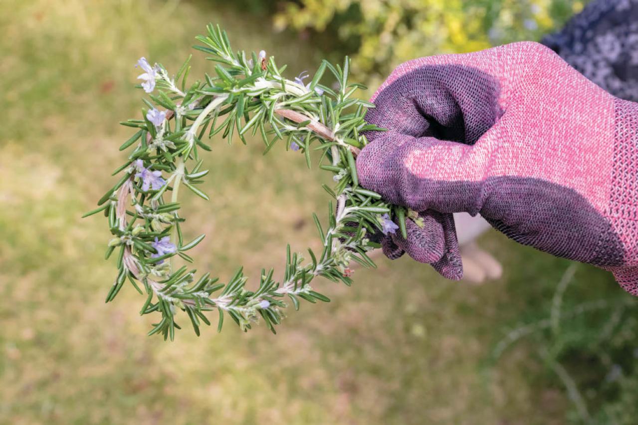どの季節も花を楽しめる【街のボランティア花壇】剪定枝や抜いた花の再利用アイデアも公開！（画像5）