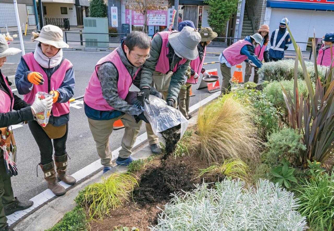 無農薬＆エコ！【街のボランティア花壇】晩秋の植えかえ作業を徹底レポート（画像11）
