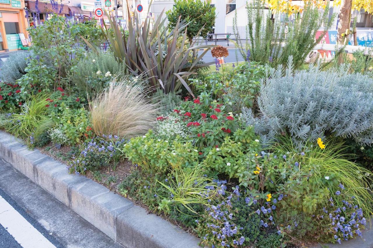 無農薬＆エコ！【街のボランティア花壇】晩秋の植えかえ作業を徹底レポート