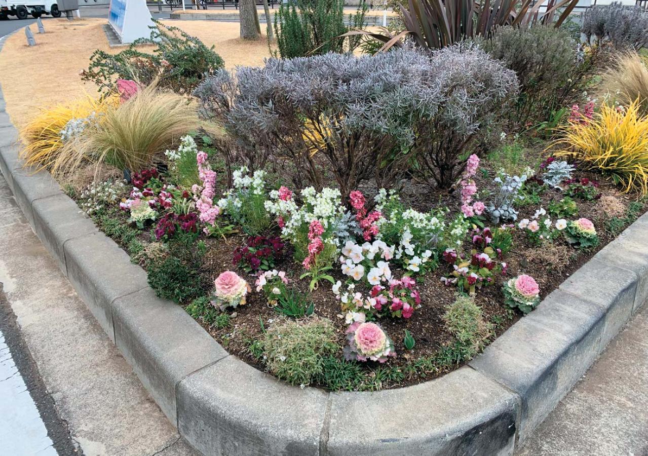 どの季節も花を楽しめる【街のボランティア花壇】剪定枝や抜いた花の再利用アイデアも公開！（画像11）