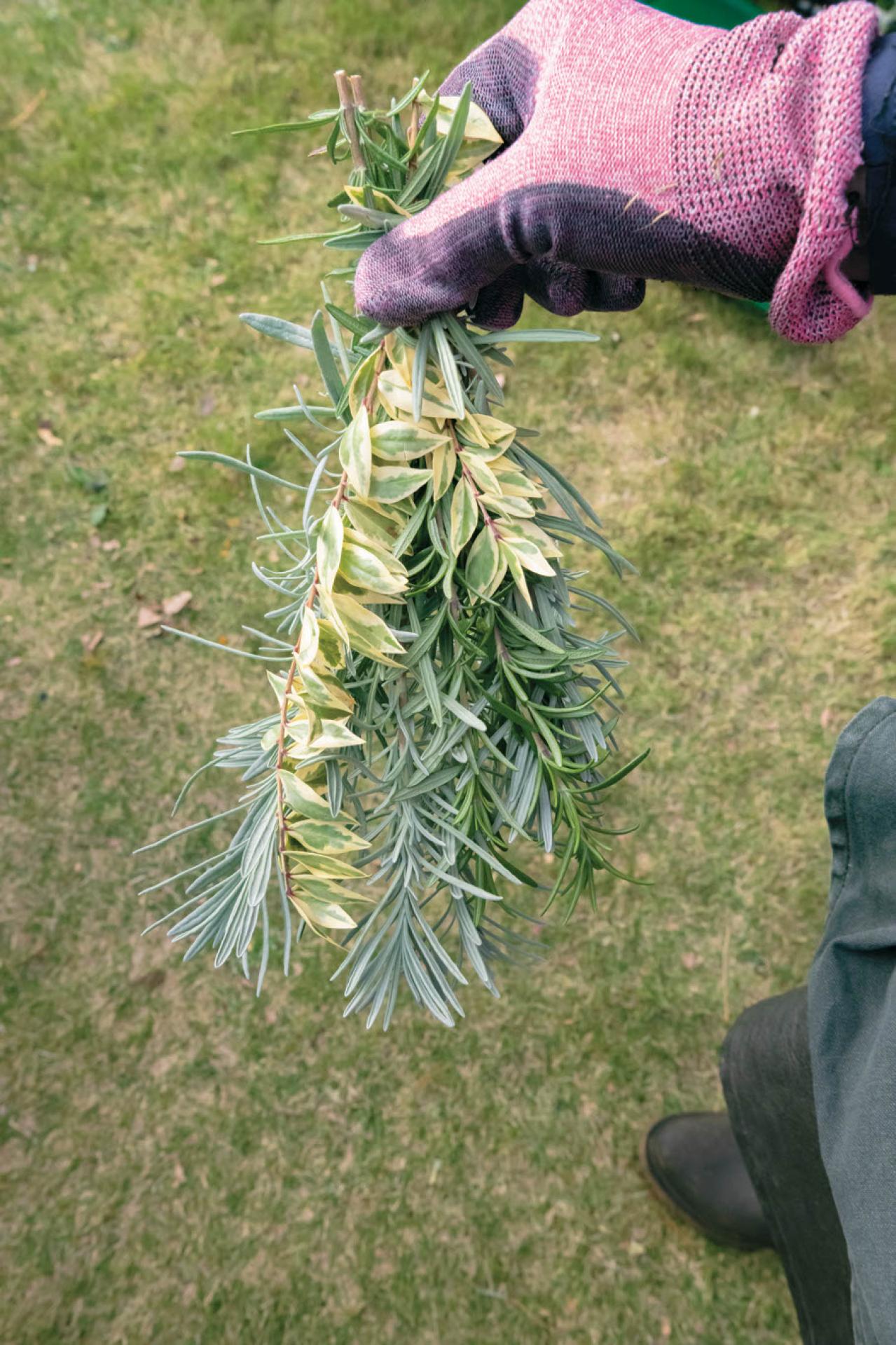 どの季節も花を楽しめる【街のボランティア花壇】剪定枝や抜いた花の再利用アイデアも公開！（画像6）