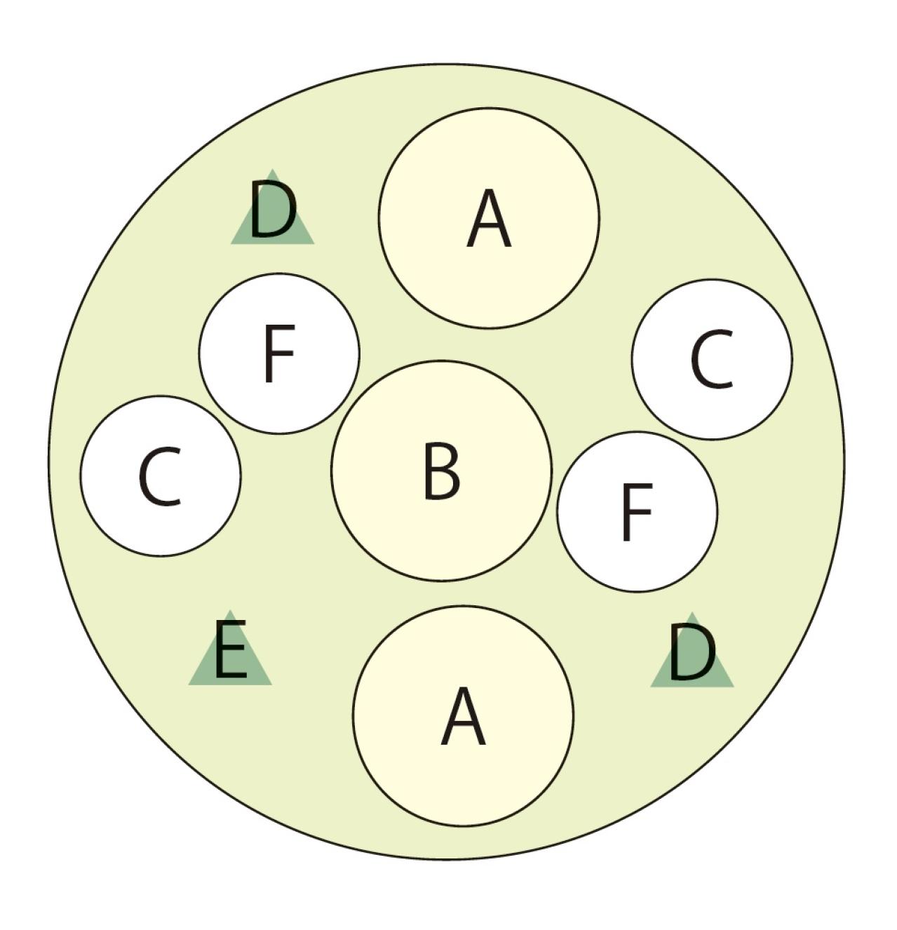 ナチュラルな印象の【晩秋の寄せ植え】野原に咲く花の風景を小さな器の中に再現！（画像4）