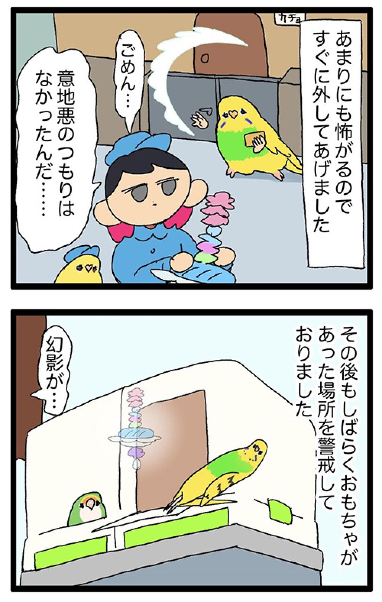 気の毒だけどかわいすぎる！セキセイインコのエピソード2選【鳥マンガ #154】（画像5）