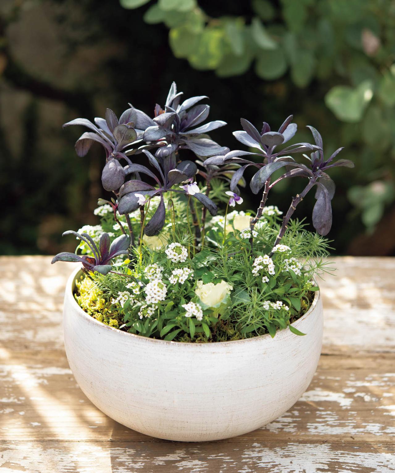 ナチュラルな印象の【晩秋の寄せ植え】野原に咲く花の風景を小さな器の中に再現！（画像5）