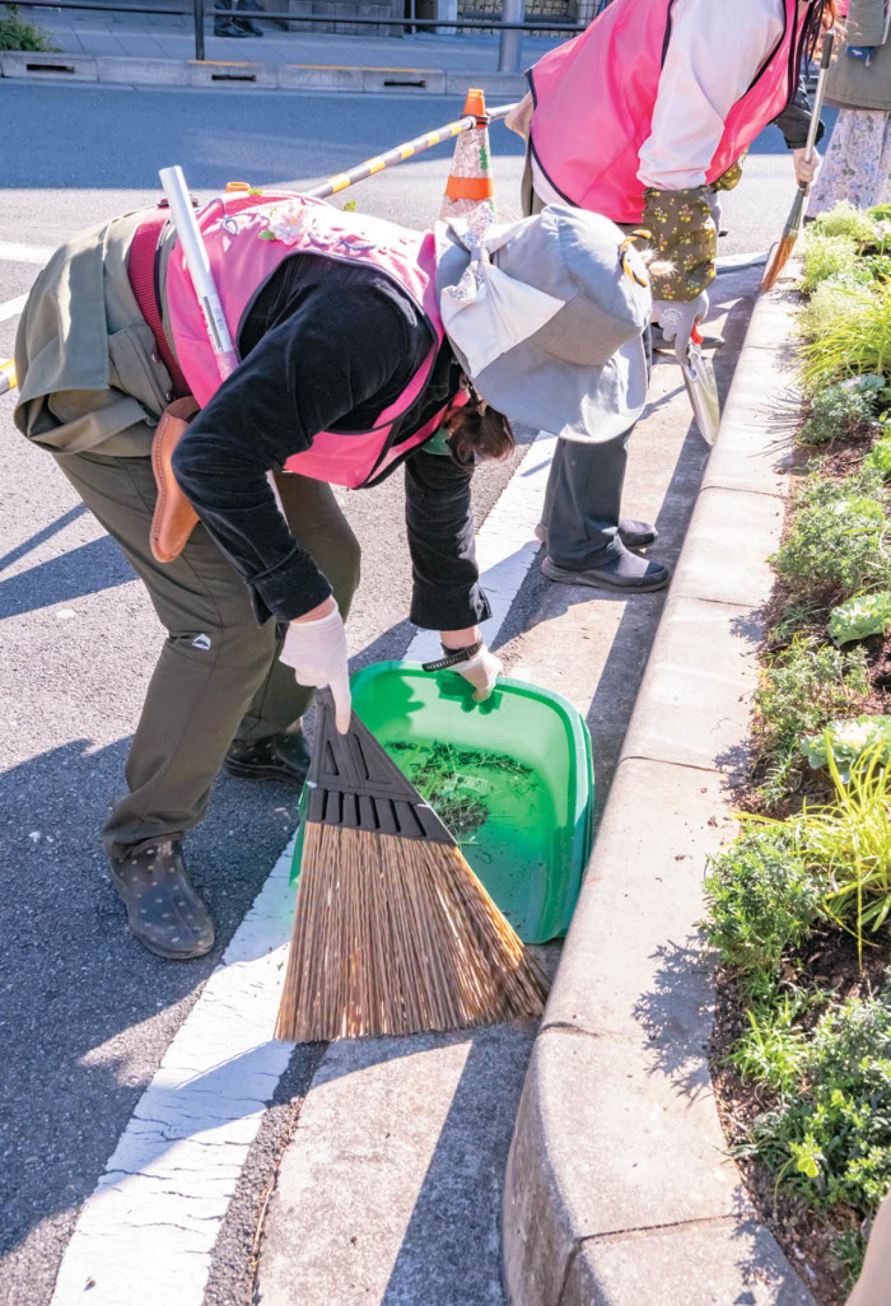 無農薬＆エコ！【街のボランティア花壇】晩秋の植えかえ作業を徹底レポート（画像15）