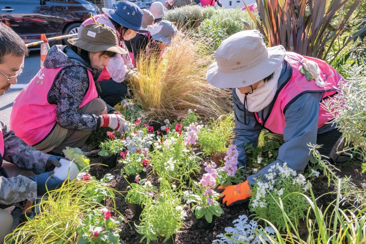 無農薬＆エコ！【街のボランティア花壇】晩秋の植えかえ作業を徹底レポート（画像12）