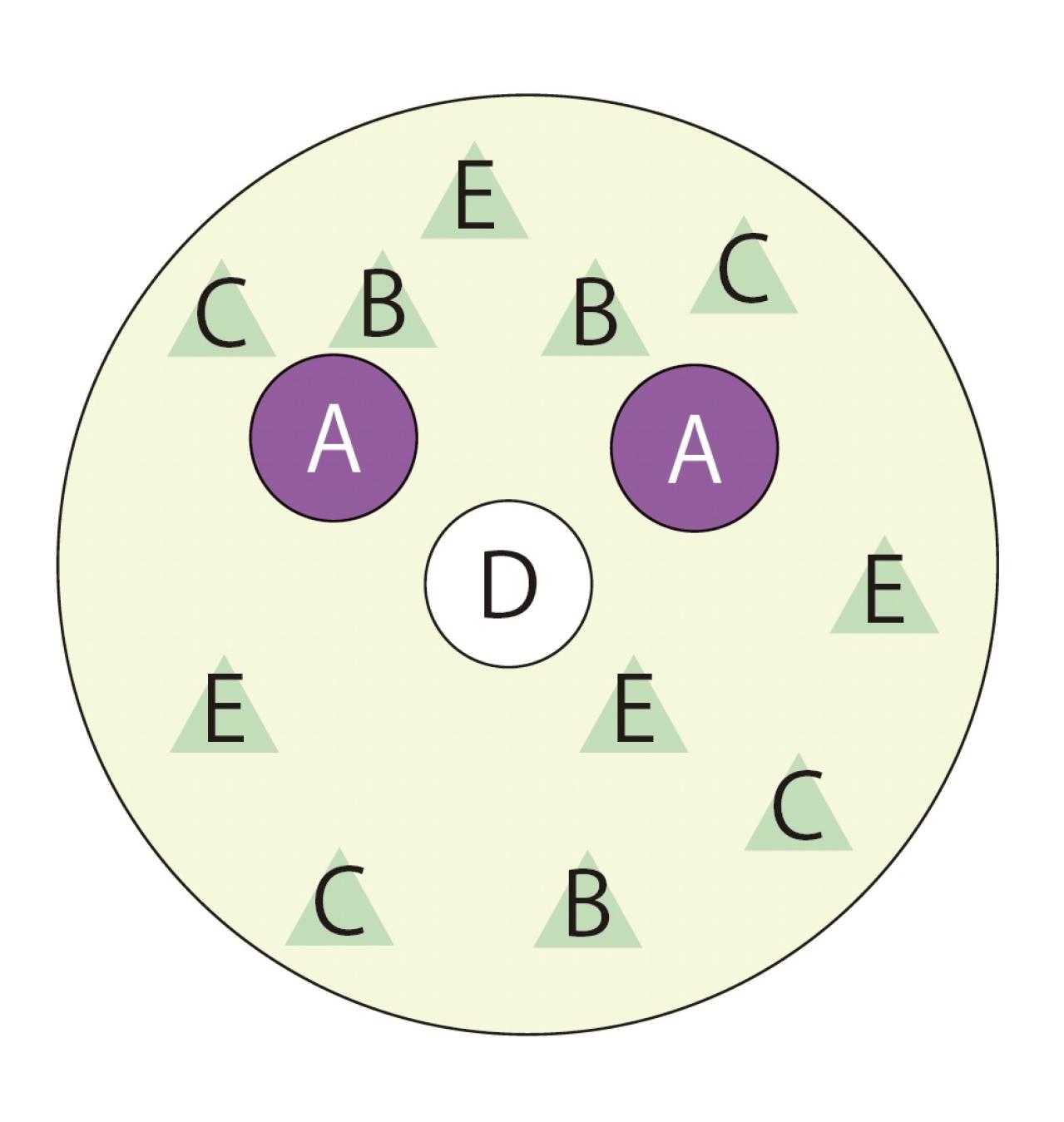 ナチュラルな印象の【晩秋の寄せ植え】野原に咲く花の風景を小さな器の中に再現！（画像6）