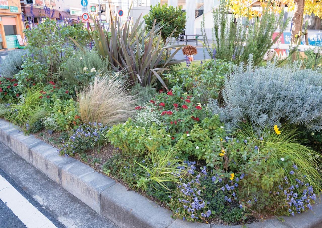 無農薬＆エコ！【街のボランティア花壇】晩秋の植えかえ作業を徹底レポート（画像2）