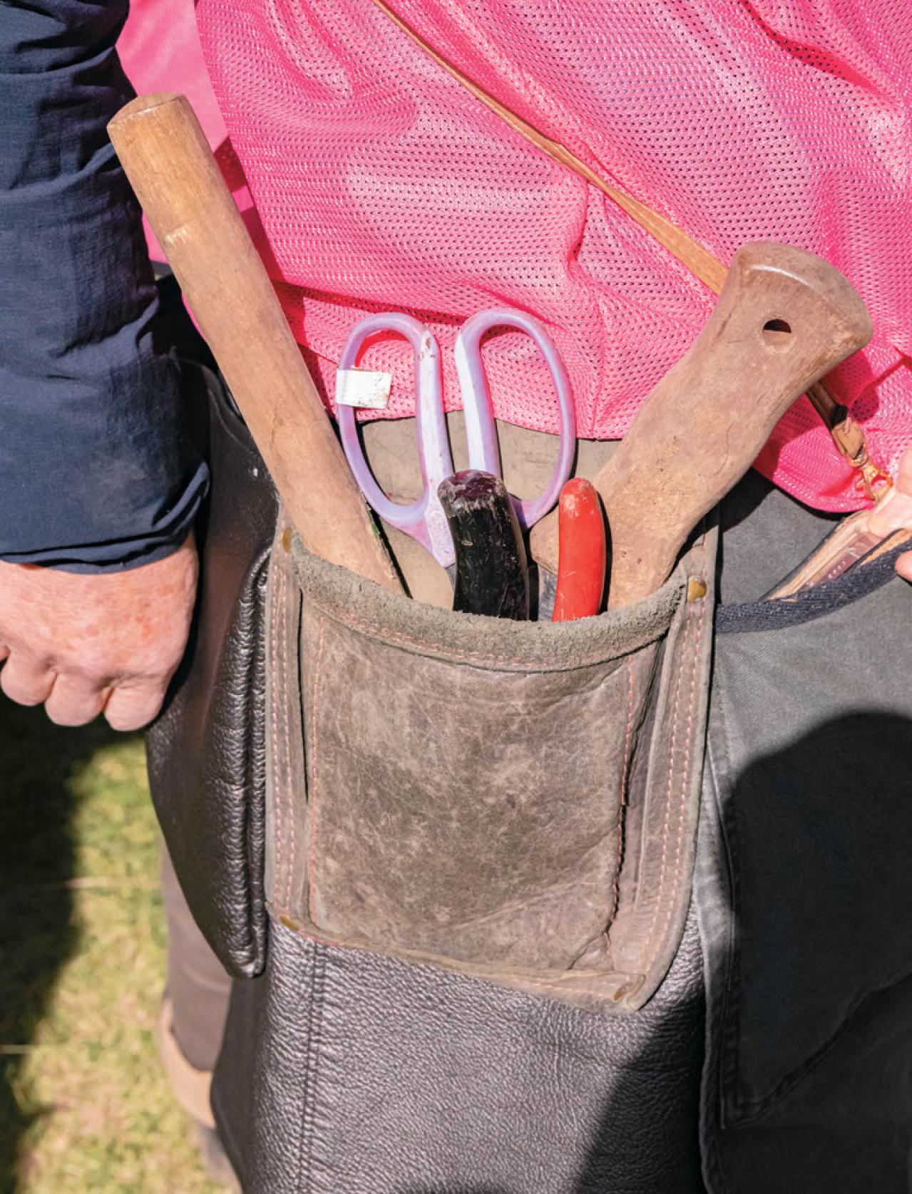 地域を彩る【ボランティア花壇】とは？調布市「ちょうふ花未来くらぶ」の取り組みを紹介（画像4）