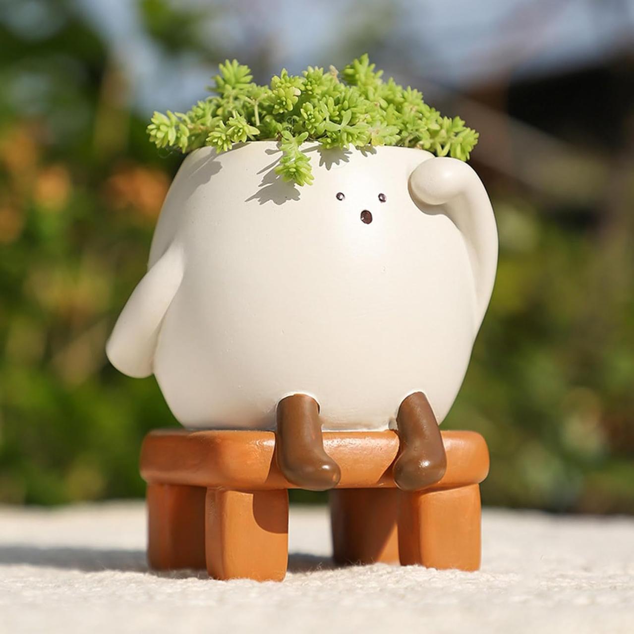 【最大20％OFF】ゆうゆうtime編集部おすすめのかわいい植木鉢や観葉植物がAmazonタイムセールに登場！（画像2）