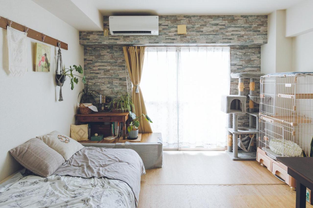 1Kの部屋で60代からの再出発！刺繍と猫とガーデニングで「小さな幸せが見つかる今が最高」