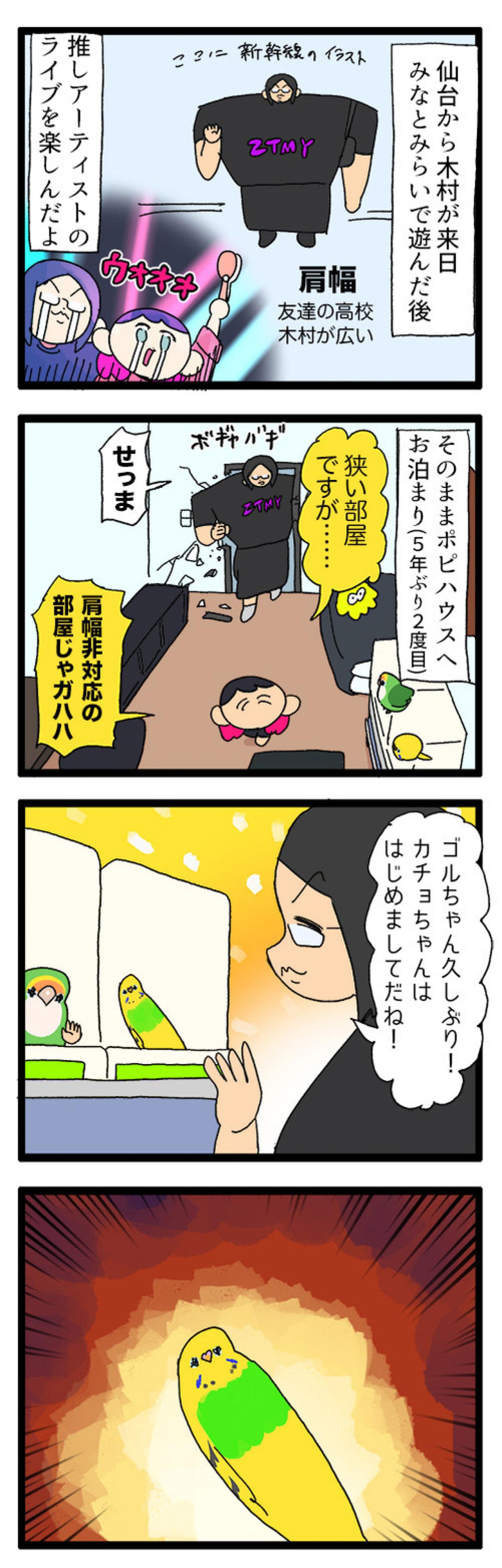 「インコが急所を狙う！」これもあるある？飼い主泣かせのカチョリエルとは【鳥マンガ #160】（画像6）