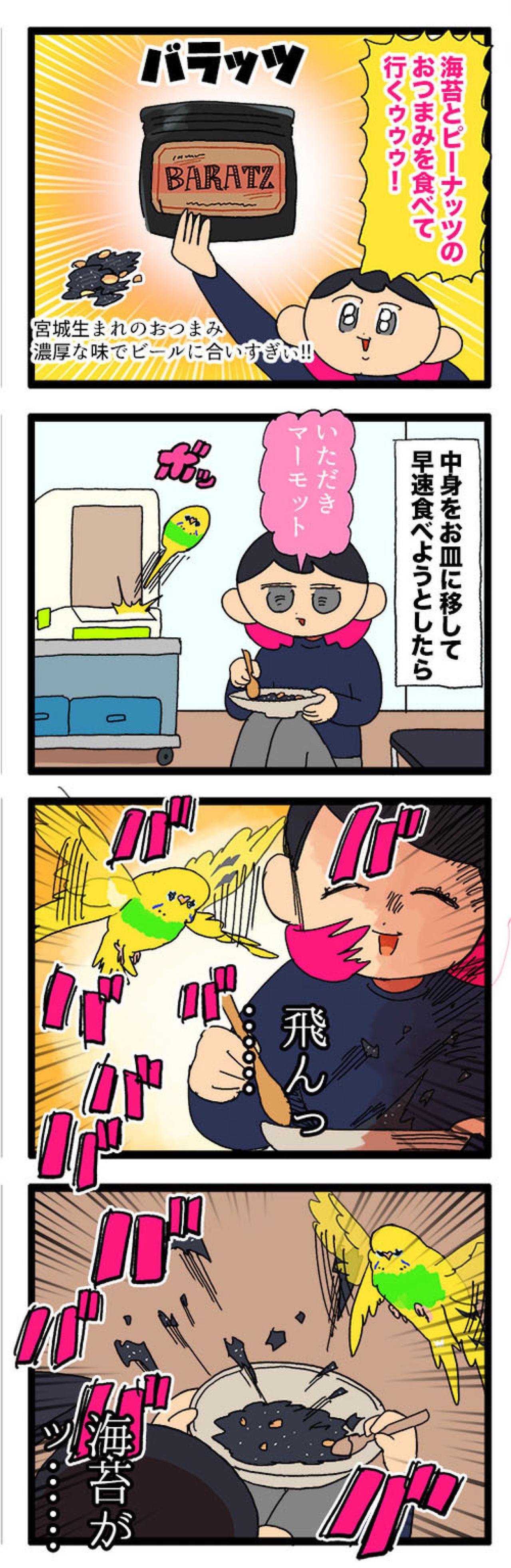 セキセイインコのカチョ、ついに産卵！？発情対策のコツも公開！【鳥マンガ #158】（画像7）