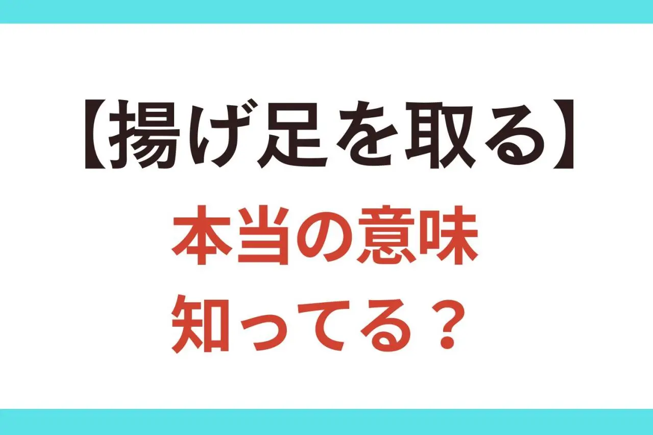 揚げ足 を 取る と は