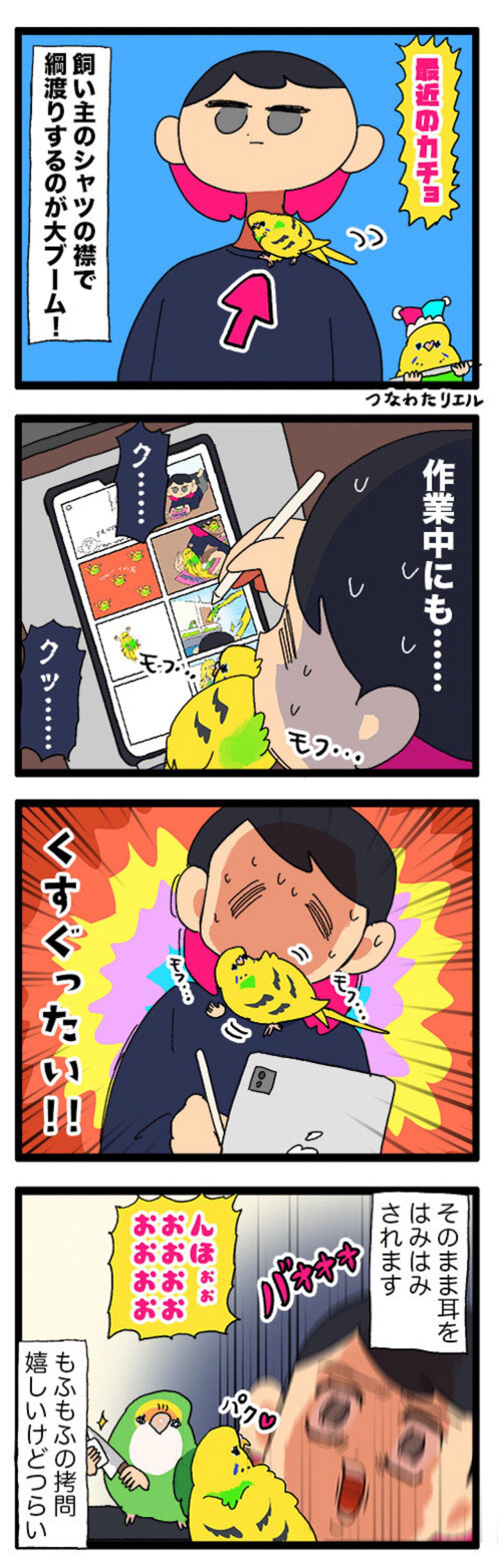 セキセイインコのカチョと味付け海苔の意外な関係とは？【鳥マンガ #157】（画像6）